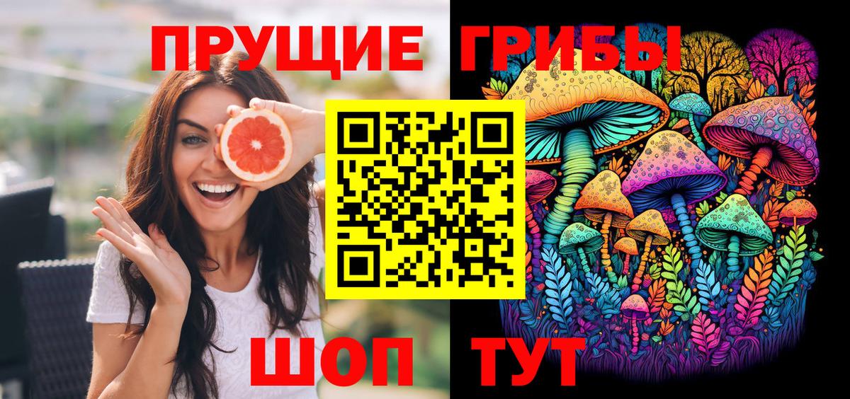 Галлюциногенные грибы Psilocybe Мичуринск