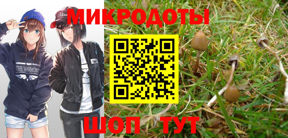 Галлюциногенные грибы MAGIC MUSHROOMS  Псилоцибиновые грибы Psilocybine cubensis  что такое   Вход с VPN  Мичуринск 